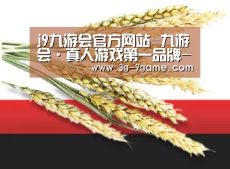 j9九游会官方网站-九游会·真人游戏第一品牌-J9.COM